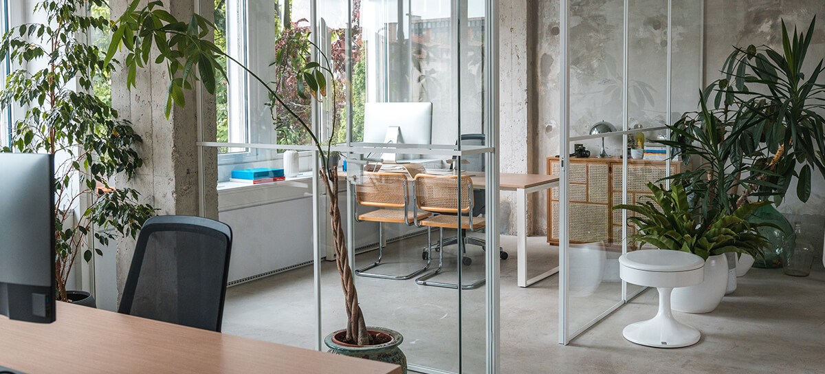 Office space with indoor plants and decorative potted trees.