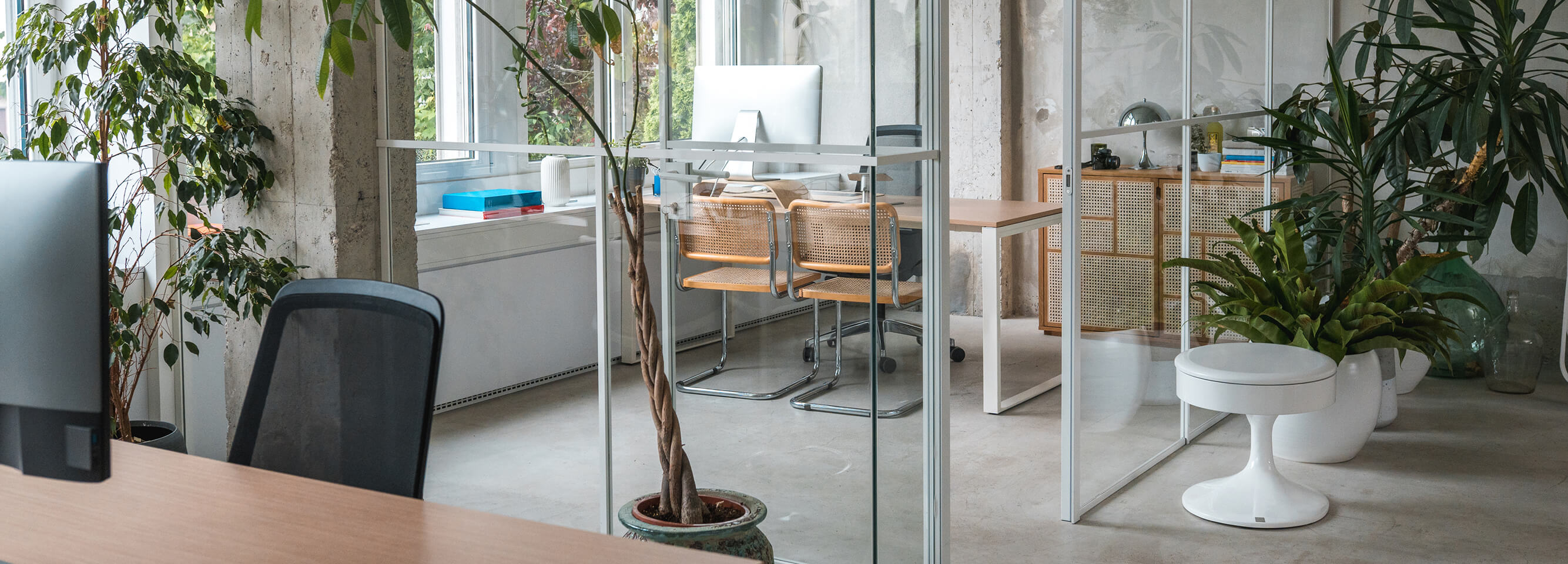Office space with indoor plants and decorative potted trees.