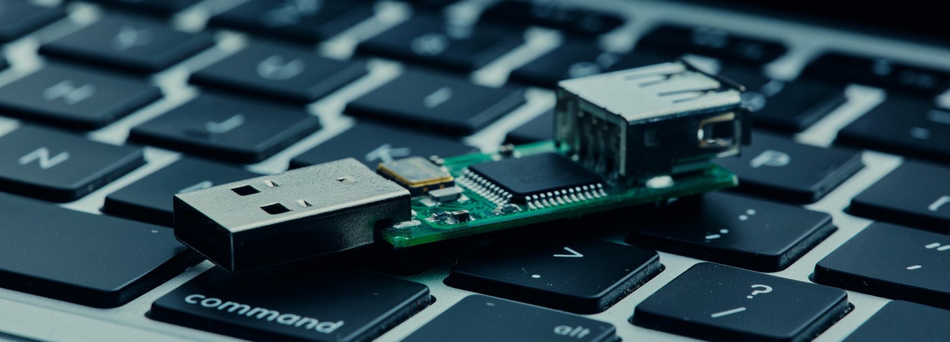 stakåndet Forbavselse enhed A USB keylogger to record keystrokes | Integra Sources